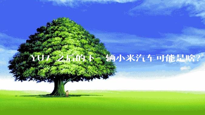 YU7 之后的下一辆小米汽车可能是啥？小米会把所有车型做一遍吗？