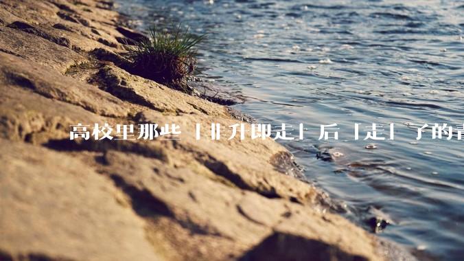 高校里那些「非升即走」后「走」了的青年教师都怎么样了？